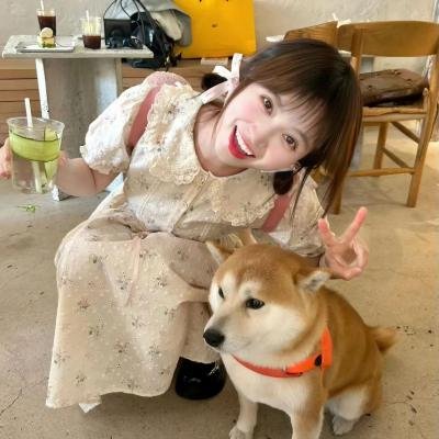 浮华陷阱